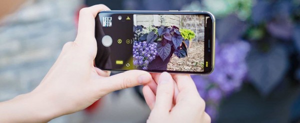 Protege lo que captura tu mundo